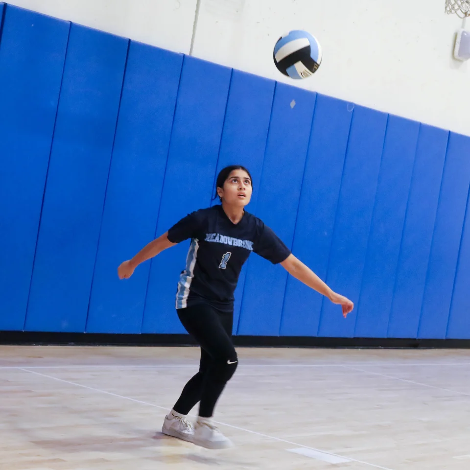 Volleyball